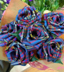 Gifts | Tartan Roses | Tartan Stem Rose