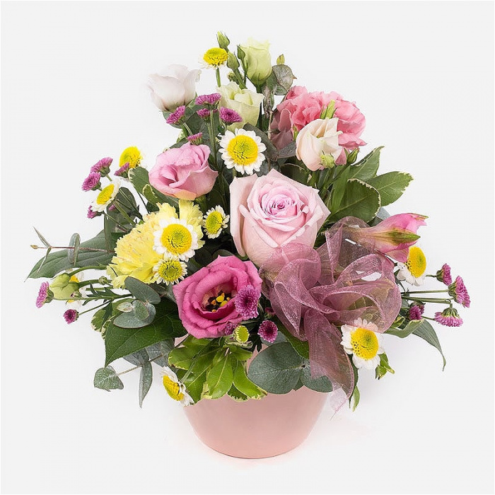 Arrangements | Birthday | Celebration | Get Well | Mother's Day | Thank You | Pot of Happiness
