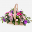 Arrangements | Birthday | Celebration | Get Well | Mother's Day | Elsie
