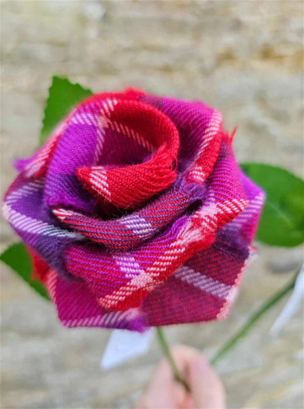 Gifts | Tartan Roses | Love of Scotland Stem Rose