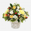 Arrangements | Birthday | Celebration | Get Well | Alice
