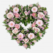 Tributes | Open Heart