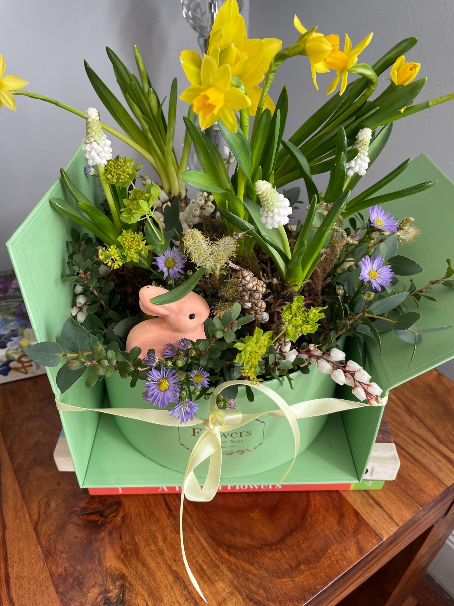 Rainbow Heart Flowers | Kirkintilloch | Home