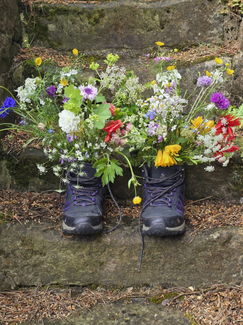 Rainbow Heart Flowers | Kirkintilloch | Home