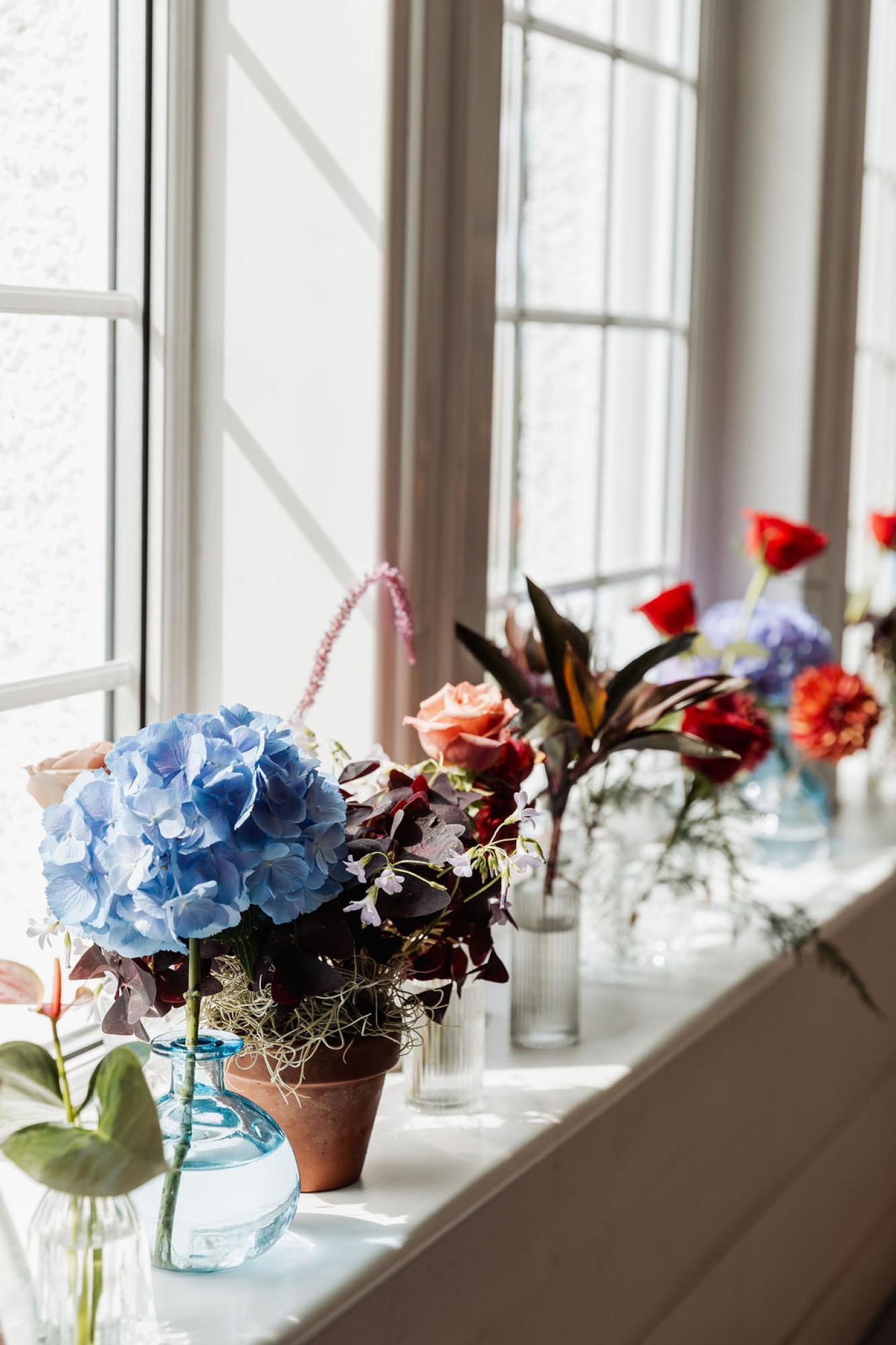 Rainbow Heart Flowers | Kirkintilloch | Home