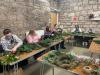 Rainbow Heart Flowers | Kirkintilloch | Workshops