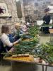 Rainbow Heart Flowers | Kirkintilloch | Workshops