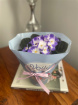 Mothering Sunday | Plants | Indoor African Violet