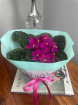 Mothering Sunday | Plants | Indoor African Violet