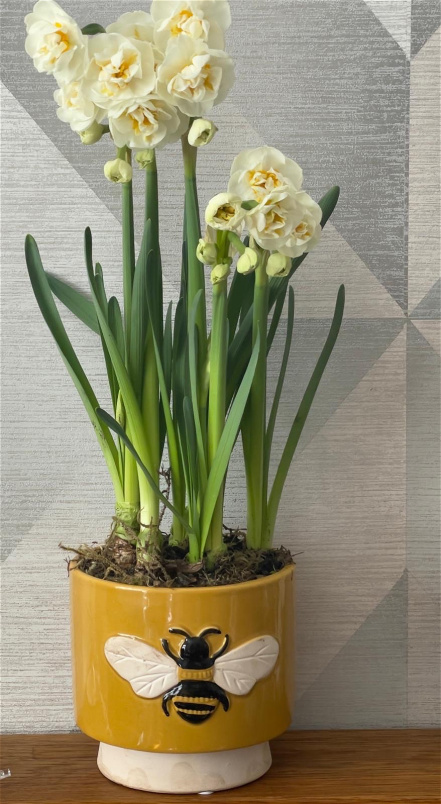 Vases & Plant Pots | Bee Happy Ceramic Pot