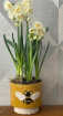 Vases & Plant Pots | Bee Happy Ceramic Pot