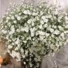 Carols Creations | Weddings