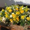 Carols Creations | Funeral sympathy tributes