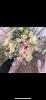 Carols Creations | Weddings