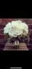 Carols Creations | Weddings