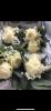 Carols Creations | Weddings