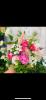 Carols Creations | Weddings