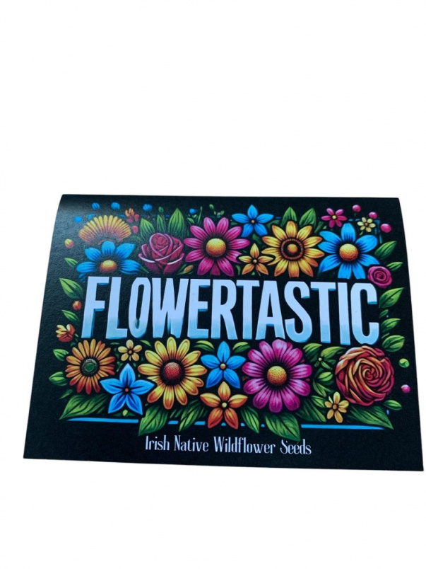 Bouquets | Floral Arrangements | Gifts | Mother's Day | Spring | Upsell gifts | Flowertastic Native Irish Wildflower Seeds