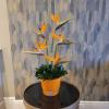Me Auld Flower & Mrs Bouquet | Mullingar | Corporate