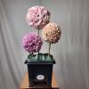Me Auld Flower & Mrs Bouquet | Mullingar | Corporate