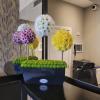 Me Auld Flower & Mrs Bouquet | Mullingar | Corporate