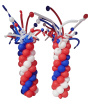 Balloons | Corporate | Gifts | Mother's Day | Fireworks Balloon Column