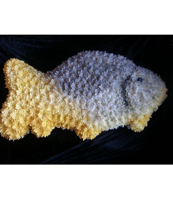 Bespoke Sympathy | Bespoke Fish Tribute