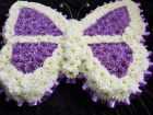 Bespoke Sympathy | Butterfly tribute