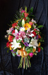 Arrangements | Sympathy | Sheaf arrangement