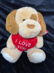 Bouquets | Gifts | Sweetheart Puppy Bear