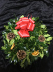 Christmas | Holly Door Wreath