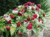 Florabella | Crawley | Funeral