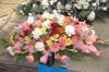 Florabella | Crawley | Funeral