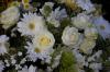 Florabella | Crawley | Funeral