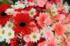 Lily’s Blossom Boutique | Corporate