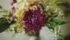 Lily’s Blossom Boutique | Corporate