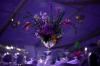 Lily’s Blossom Boutique | Corporate