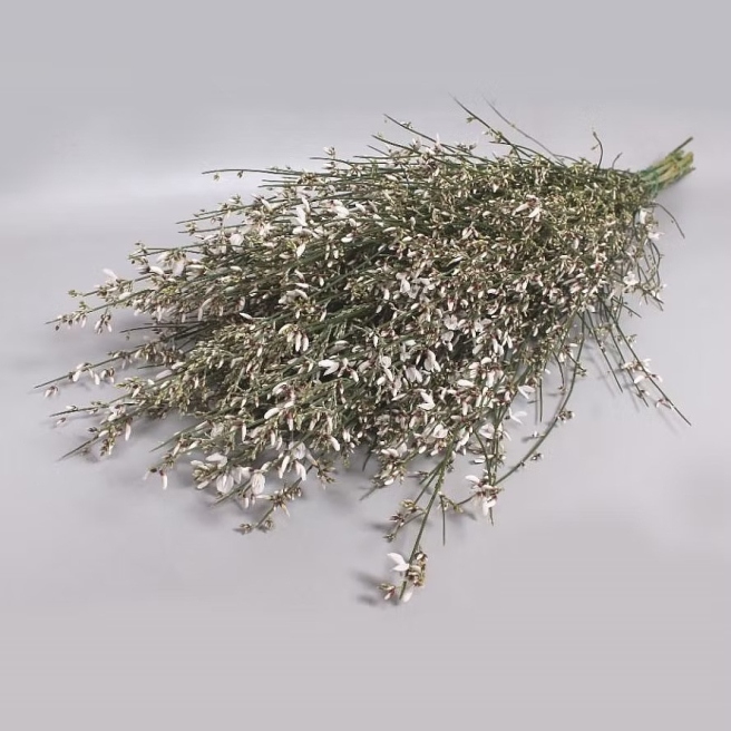 Feather & Foxglove | Atherstone | Alternative wedding flowers