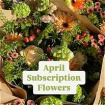 Bouquets | Subscription | Subscription Flowers