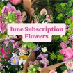 Bouquets | Subscription | Subscription Flowers