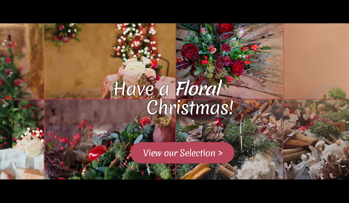 The wild stem studio | Wellingborough | Home