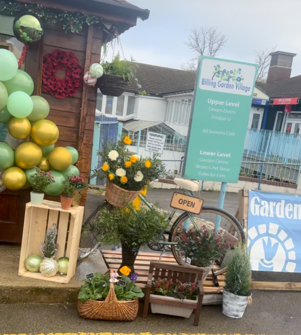 The wild stem studio | Wellingborough | Our shop is now open