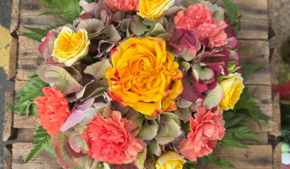 The wild stem studio | Wellingborough | Home