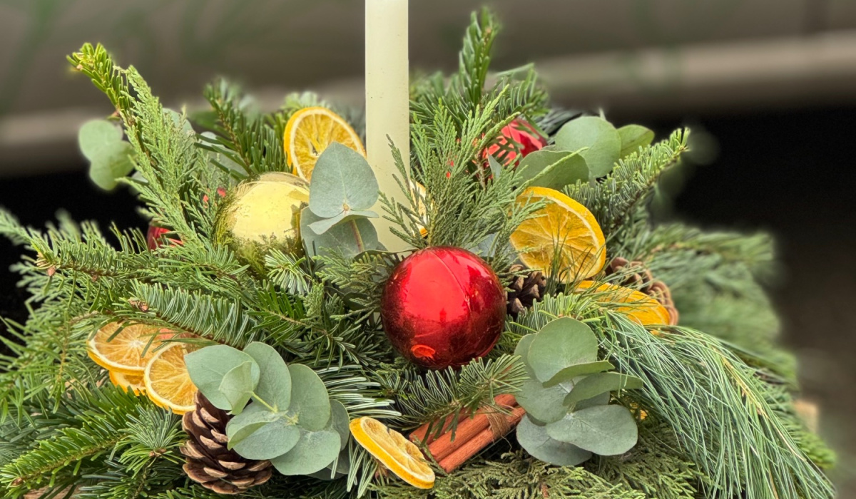 The wild stem studio | Wellingborough | Home