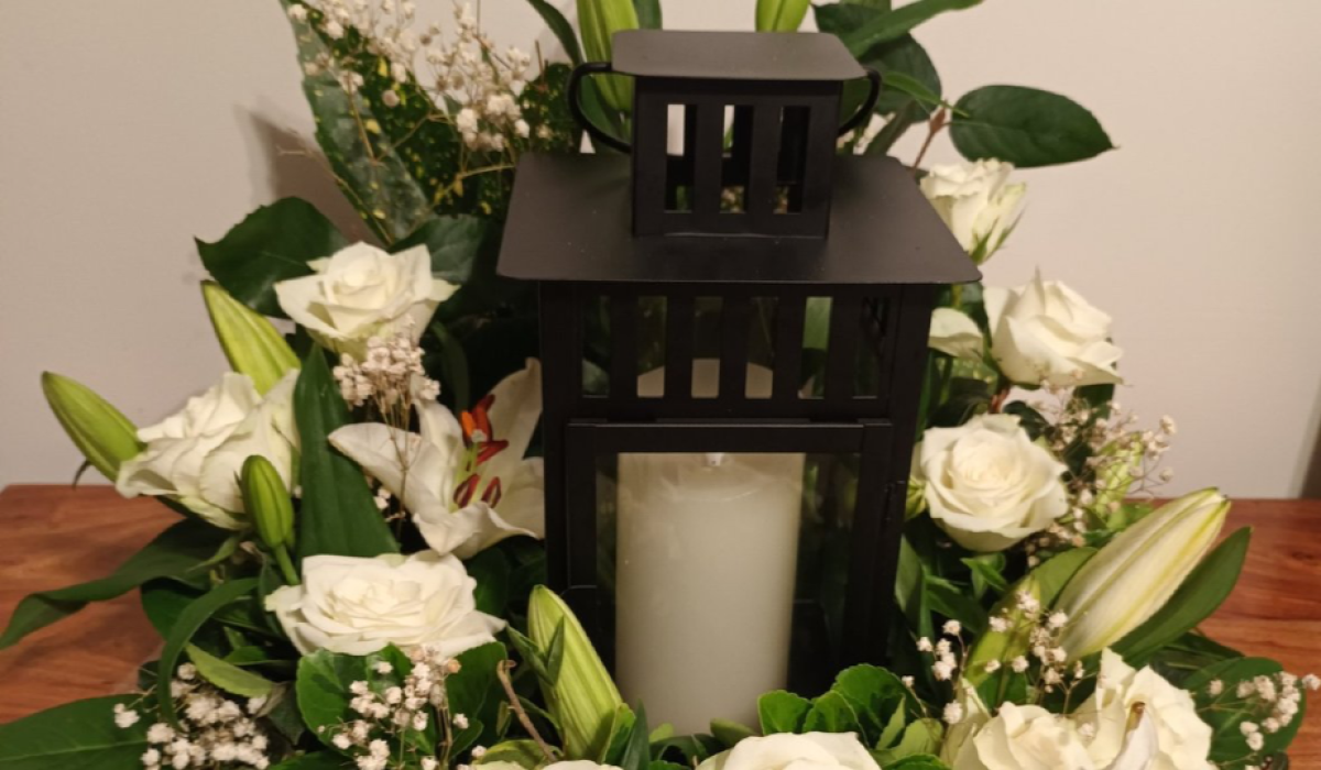 The wild stem studio | Wellingborough | Home