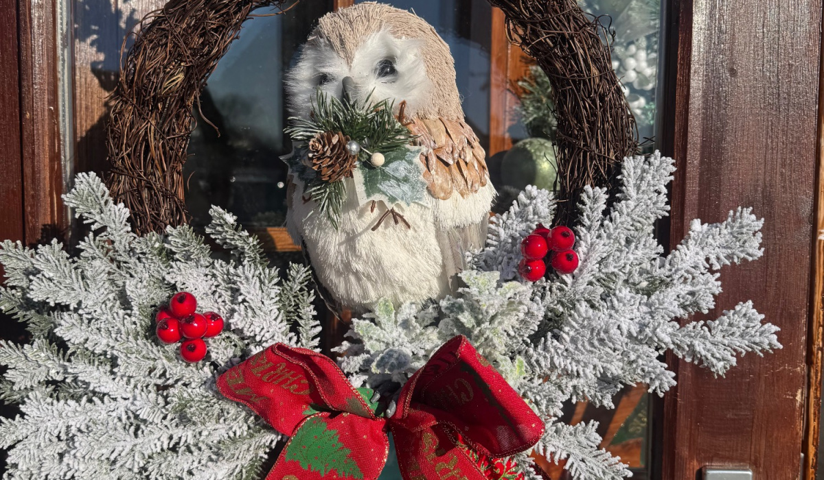 The wild stem studio | Wellingborough | Home