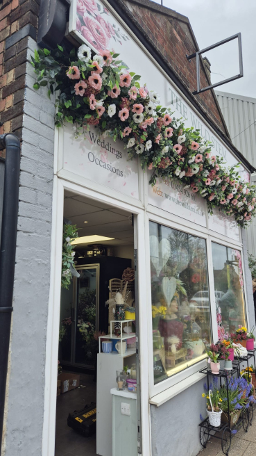 The wild stem studio | Wellingborough | Wild Stem Installations