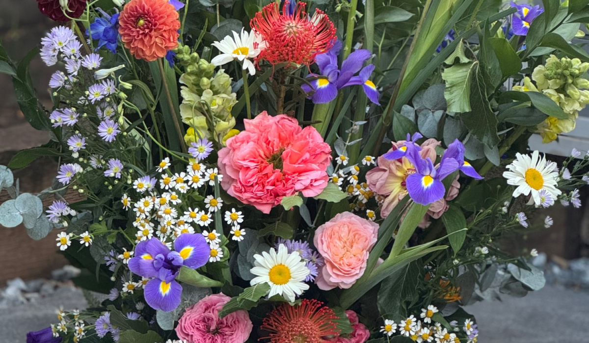 The wild stem studio | Wellingborough | Home