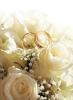 The wild stem studio | Wellingborough | Weddings