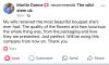 The wild stem studio | Wellingborough | A few of our reviews